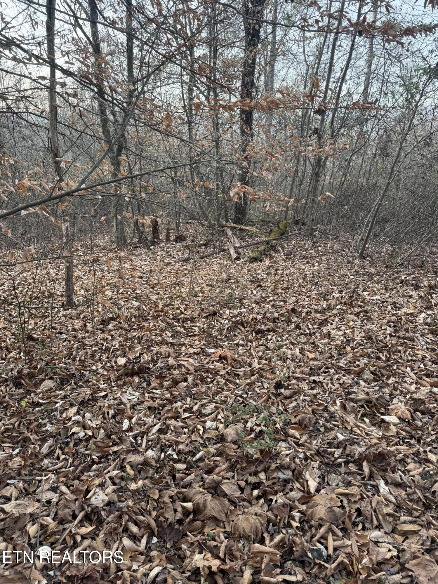 247 Mahoney Road Oliver Springs TN 37840