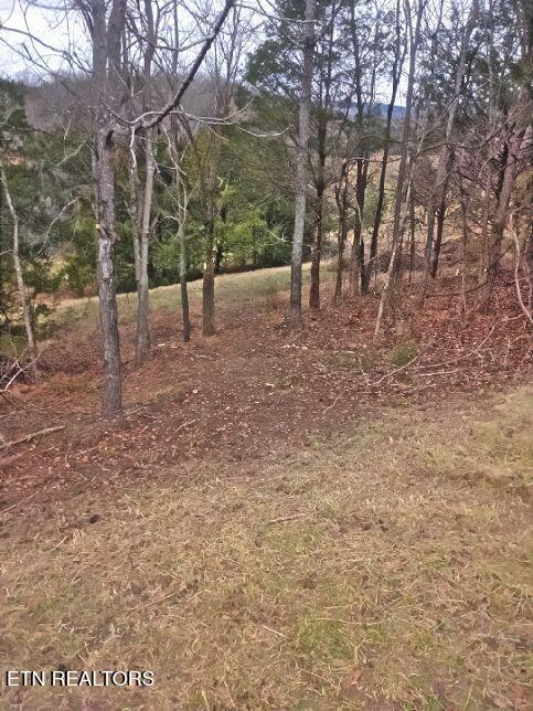 Lot 567 Russell Brothers Road Sharps Chapel TN 37866