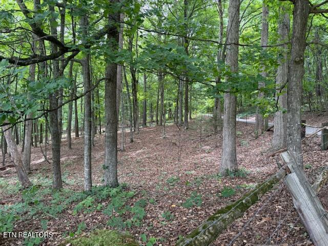 S Ridge Crest Road Luttrell TN 37779
