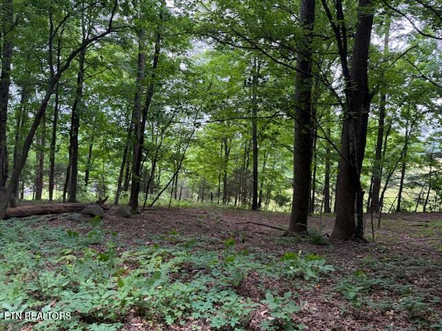 S Ridge Crest Road Luttrell TN 37779