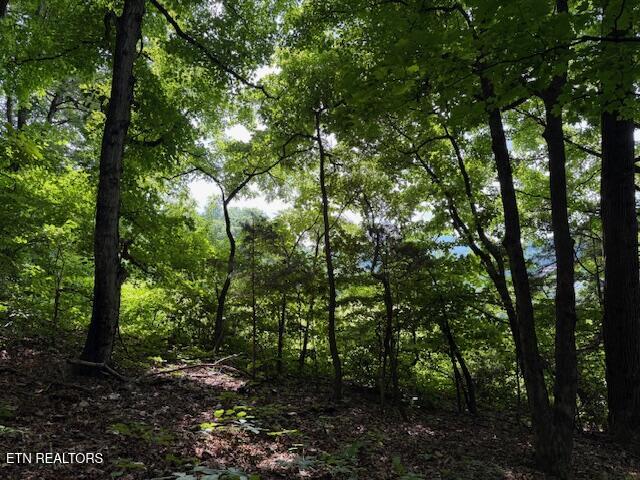 S Ridge Crest Road Luttrell TN 37779