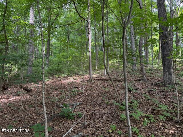 S Ridge Crest Road Luttrell TN 37779