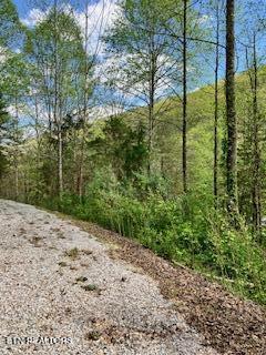 1658 Snake Hollow Road Sneedville TN 37869