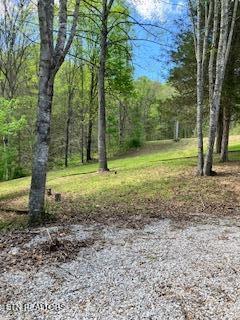 1658 Snake Hollow Road Sneedville TN 37869
