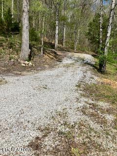 1658 Snake Hollow Road Sneedville TN 37869