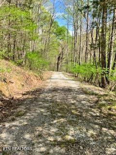 1658 Snake Hollow Road Sneedville TN 37869