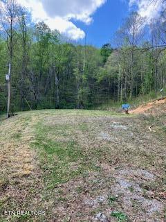 1658 Snake Hollow Road Sneedville TN 37869