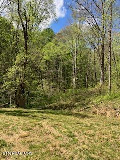 1658 Snake Hollow Road Sneedville TN 37869