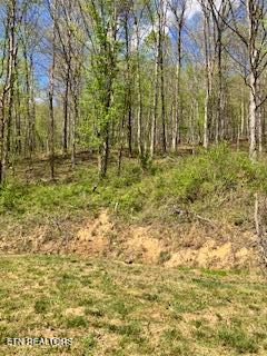 1658 Snake Hollow Road Sneedville TN 37869