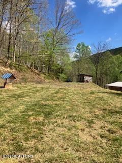1658 Snake Hollow Road Sneedville TN 37869