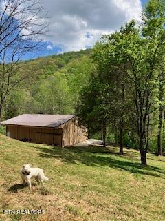 1658 Snake Hollow Road Sneedville TN 37869