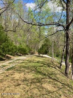 1658 Snake Hollow Road Sneedville TN 37869