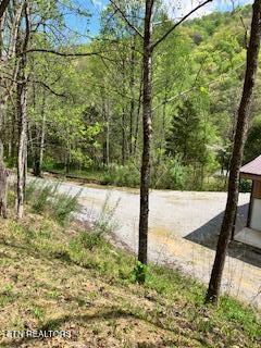 1658 Snake Hollow Road Sneedville TN 37869
