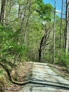 1658 Snake Hollow Road Sneedville TN 37869