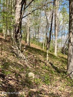 1658 Snake Hollow Road Sneedville TN 37869