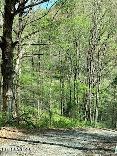 1658 Snake Hollow Road Sneedville TN 37869