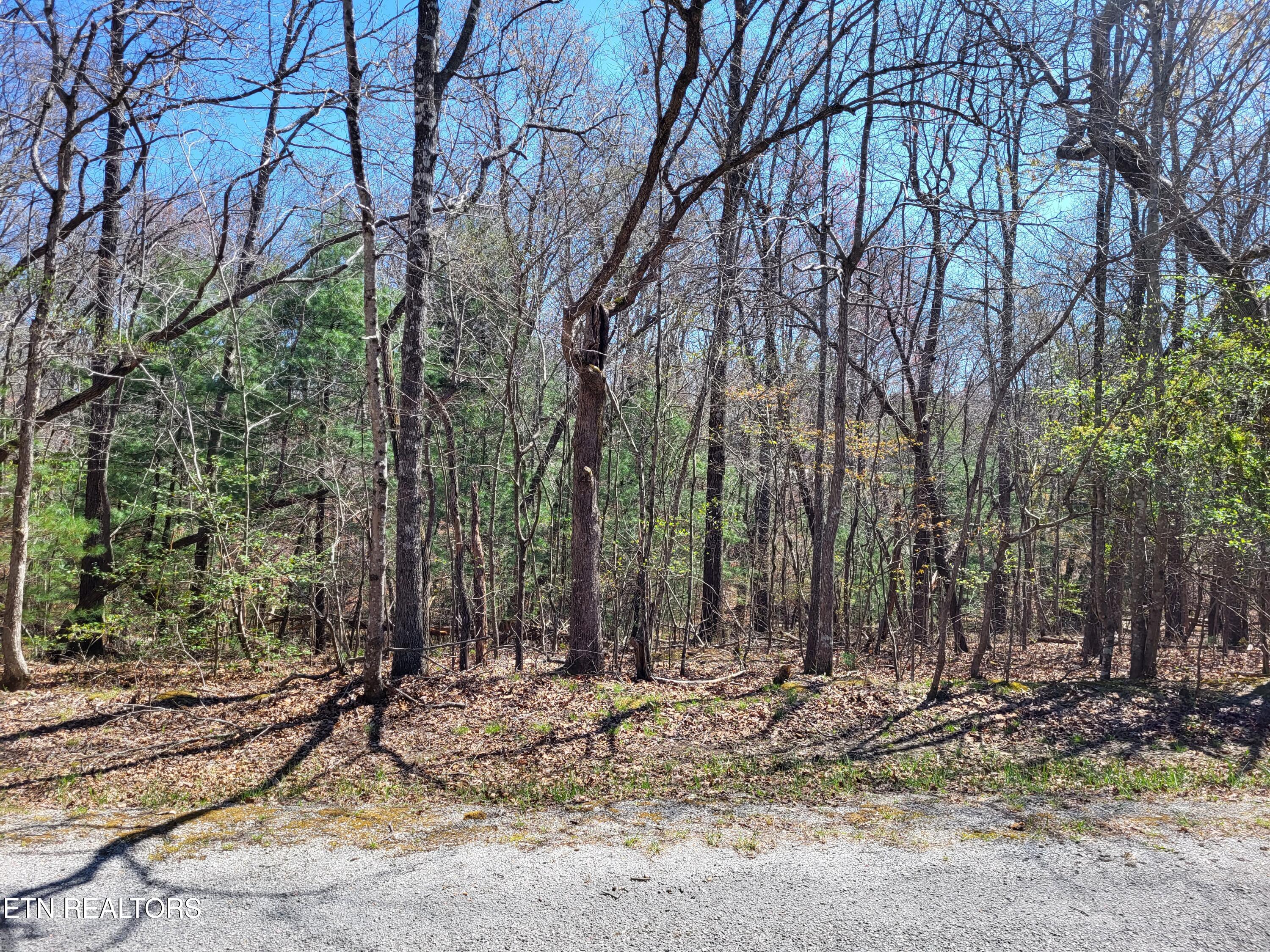 118 Dalefield Loop Crossville TN 38558