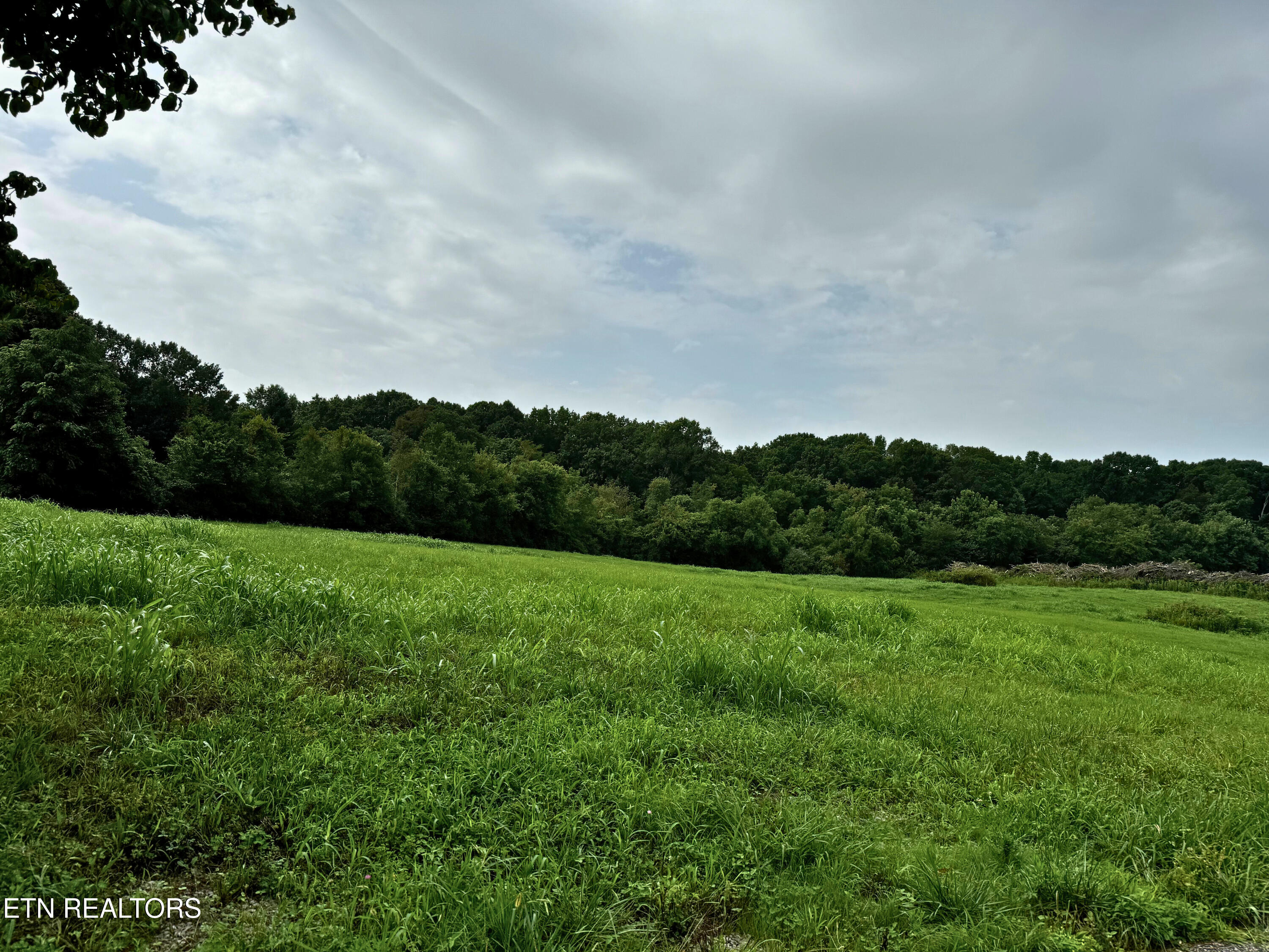 600 Bell View (6.93 Acres) Road Greenback TN 37742