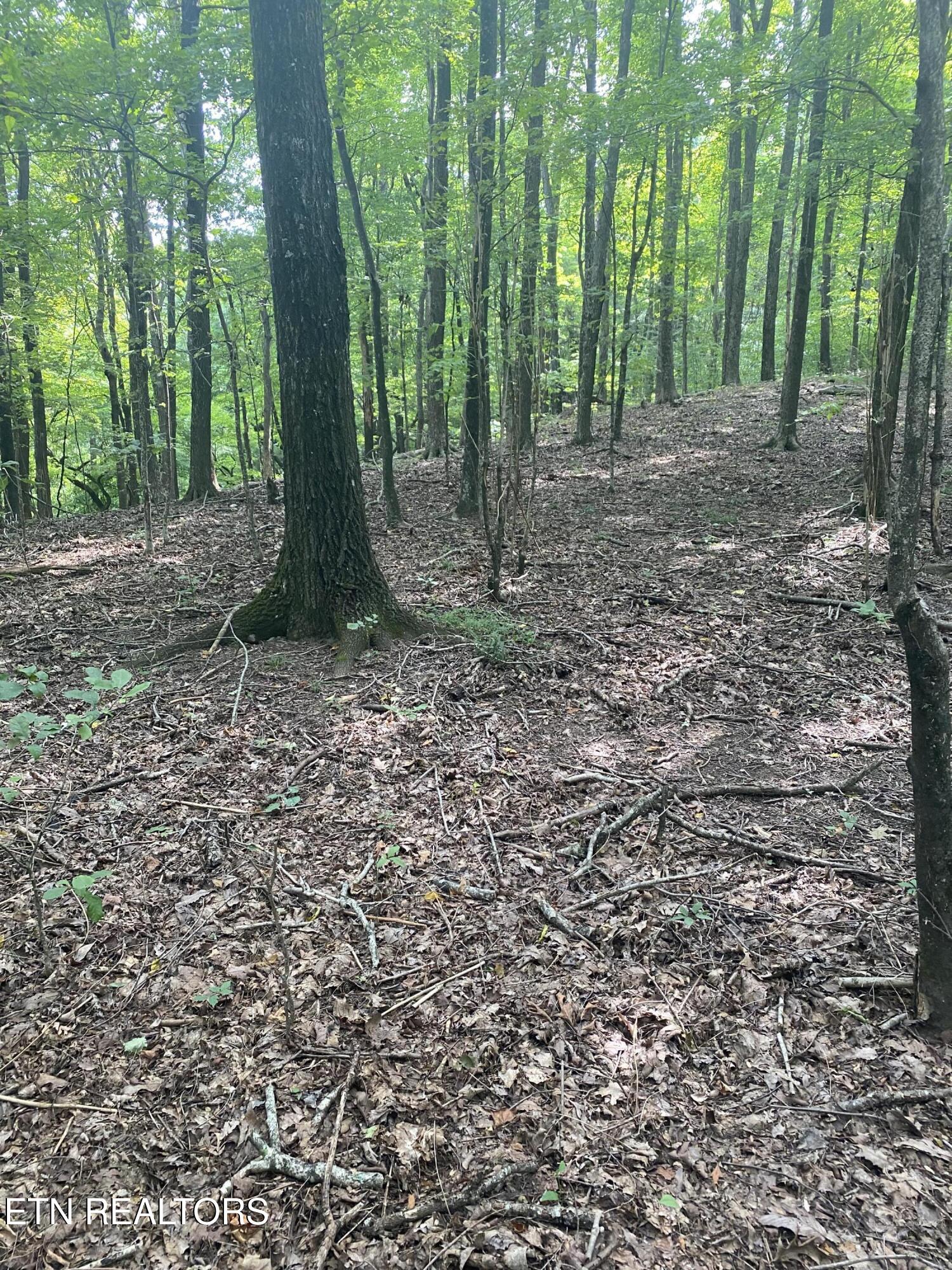 44 Acres Sheep Bluff Road Cookeville TN 38506