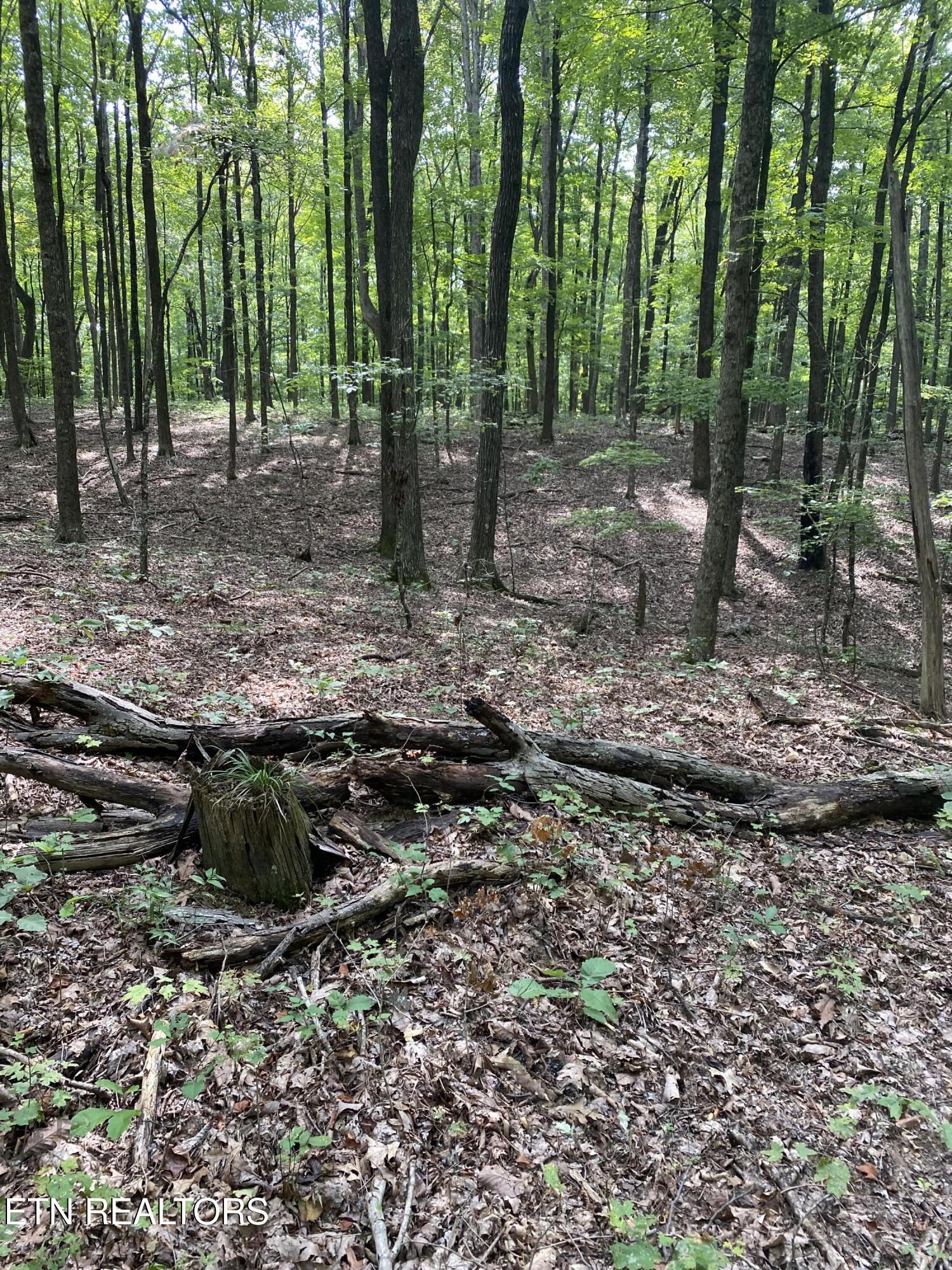 44 Acres Sheep Bluff Road Cookeville TN 38506