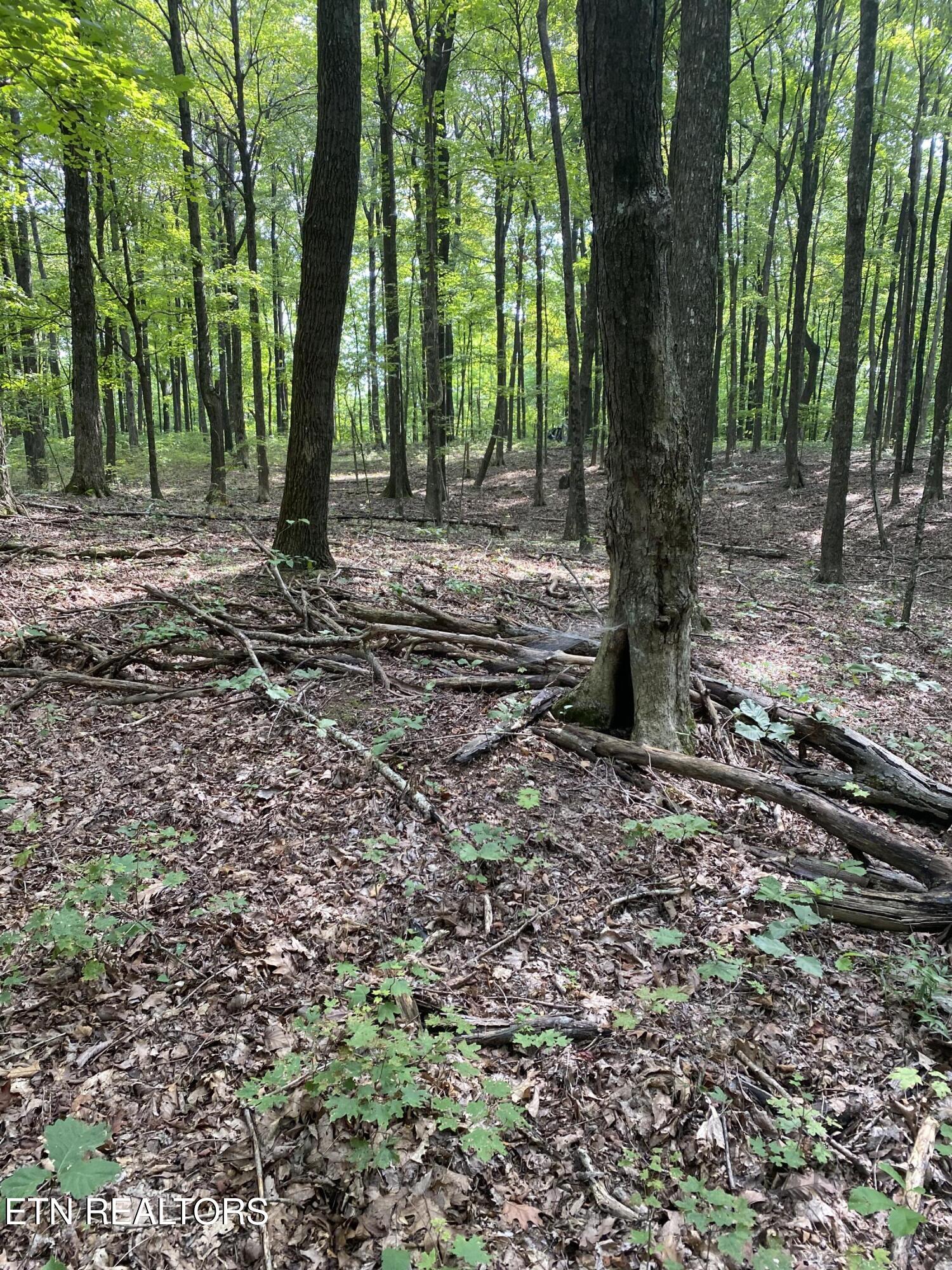 44 Acres Sheep Bluff Road Cookeville TN 38506