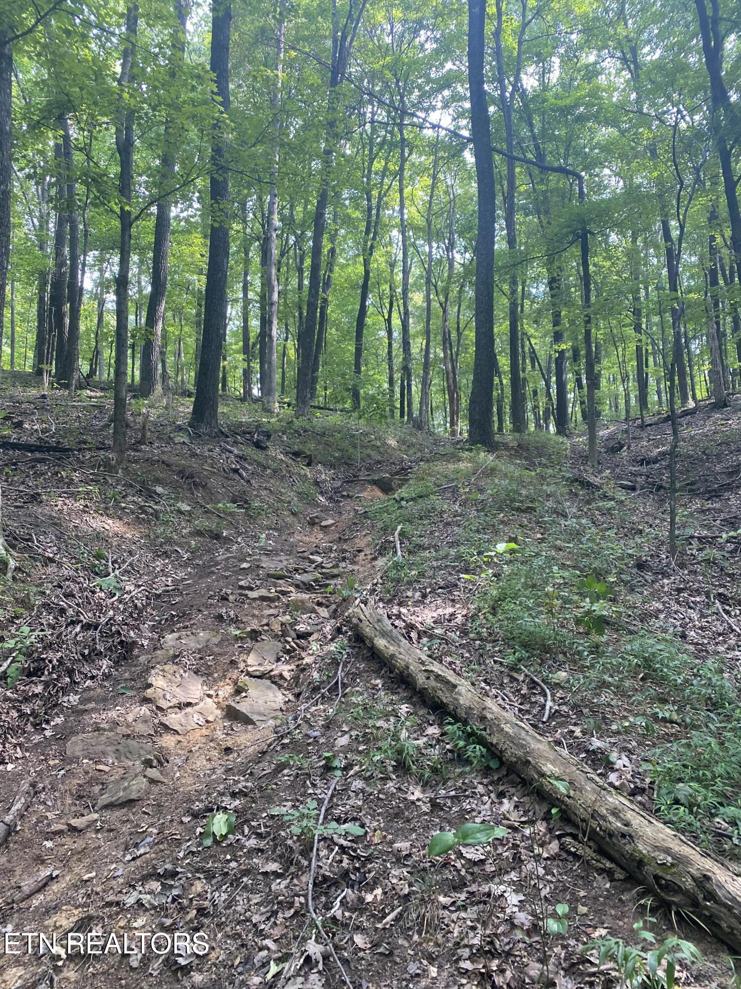44 Acres Sheep Bluff Road Cookeville TN 38506