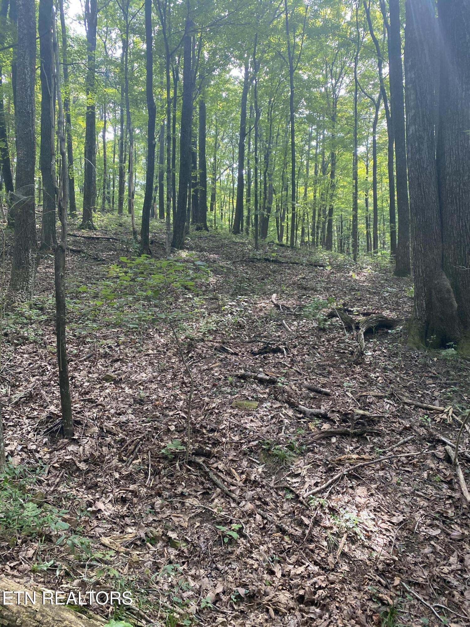 44 Acres Sheep Bluff Road Cookeville TN 38506