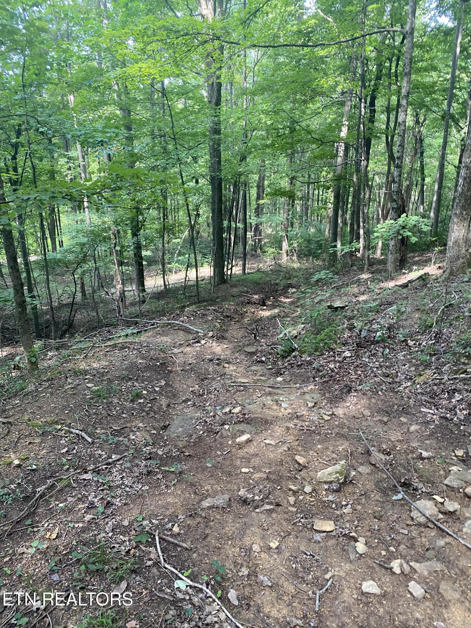 44 Acres Sheep Bluff Road Cookeville TN 38506