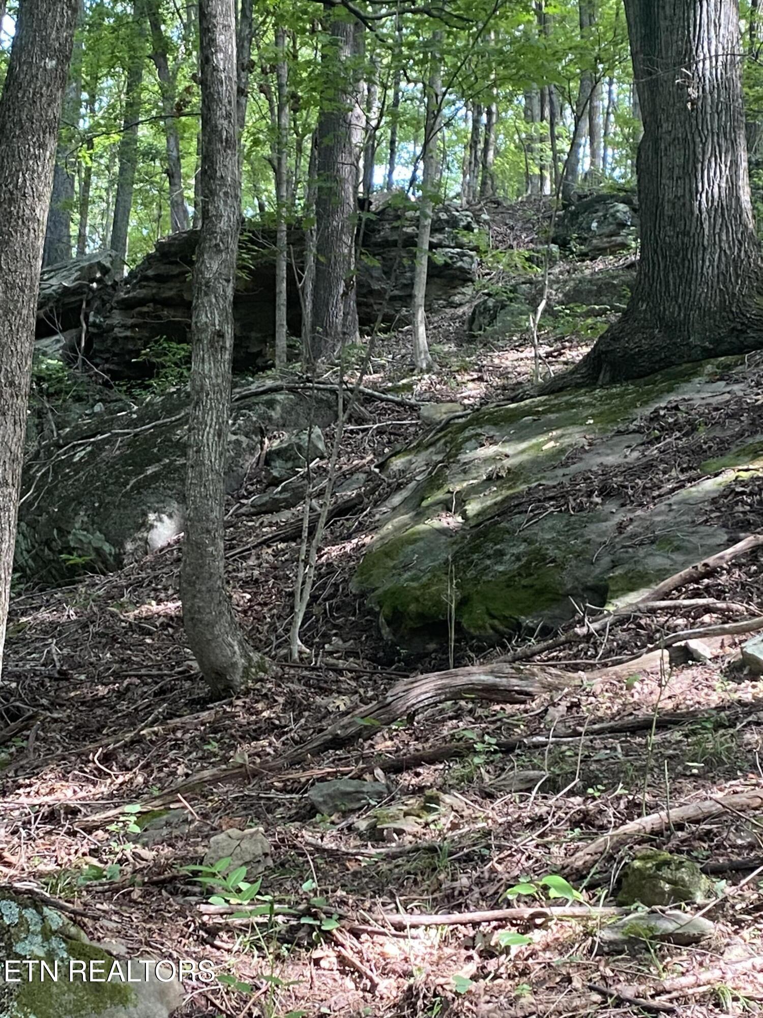 44 Acres Sheep Bluff Road Cookeville TN 38506