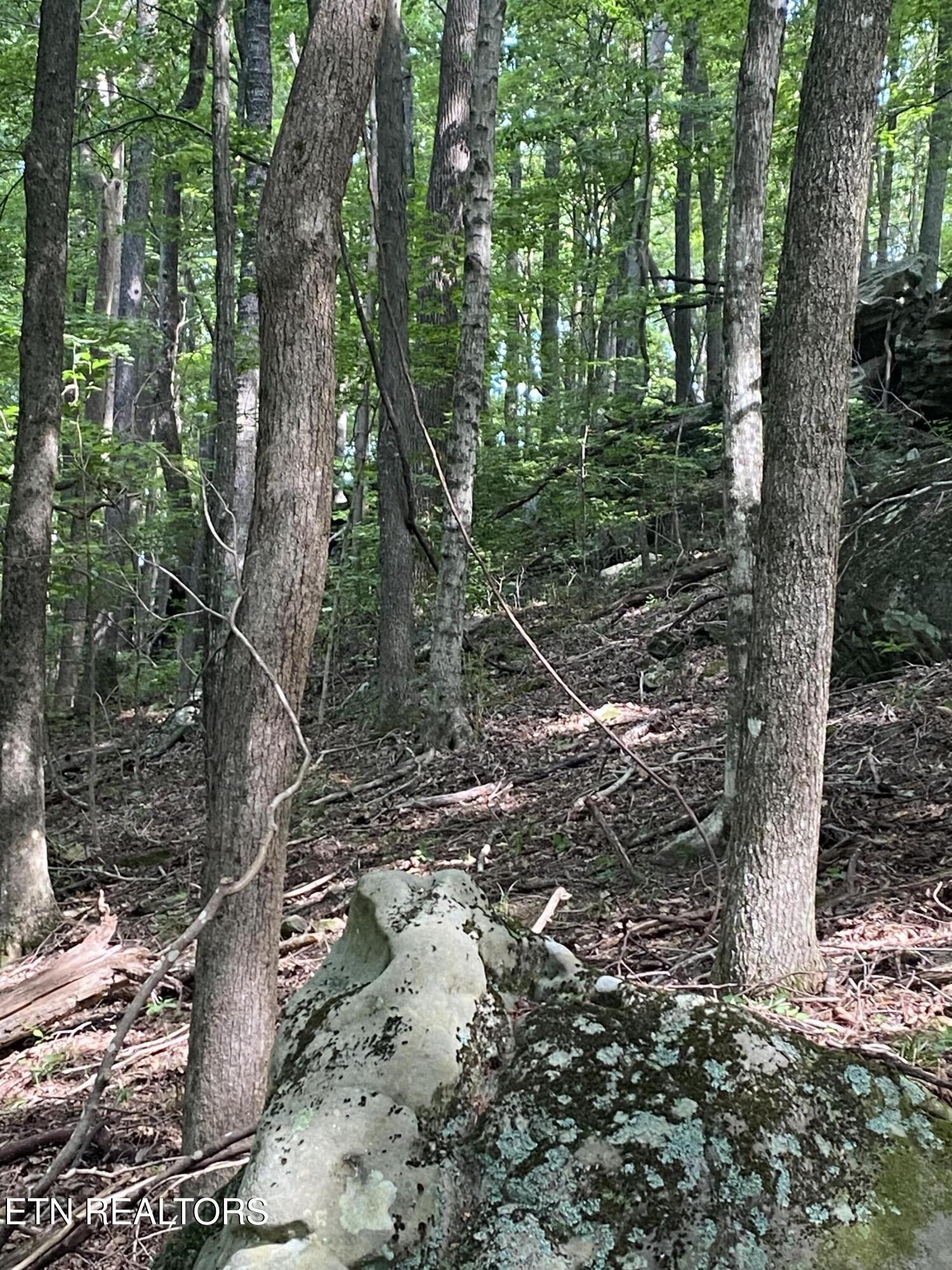 44 Acres Sheep Bluff Road Cookeville TN 38506