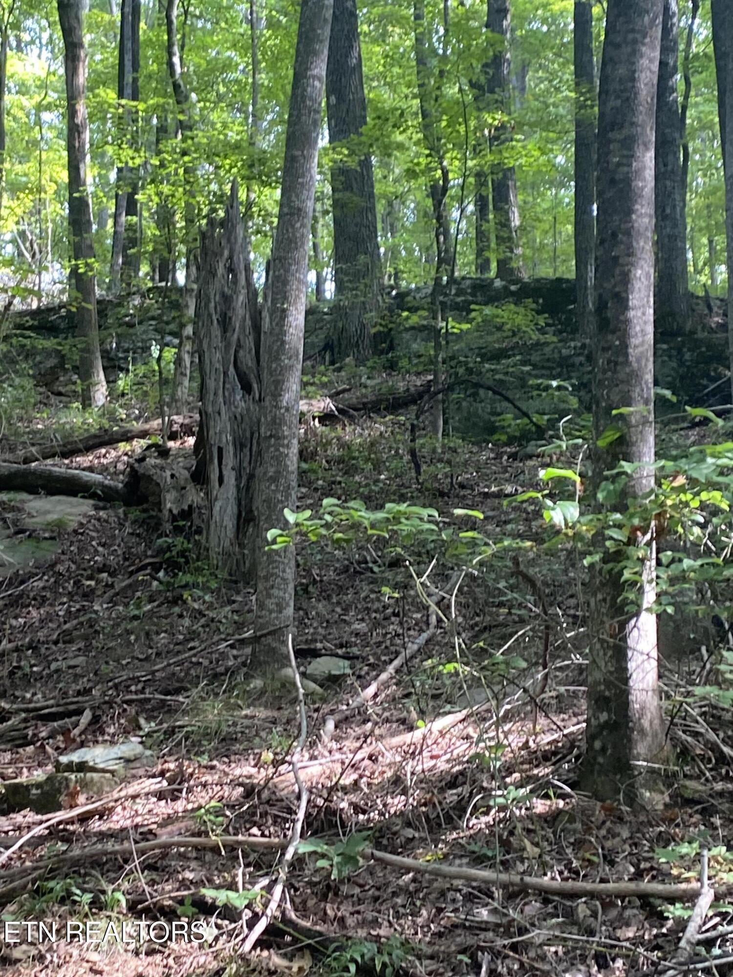 44 Acres Sheep Bluff Road Cookeville TN 38506