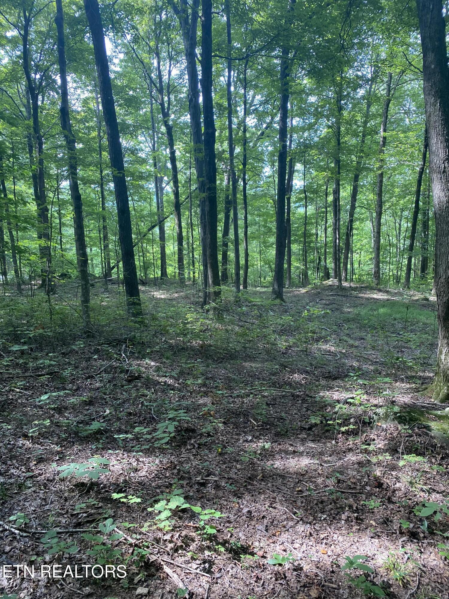 44 Acres Sheep Bluff Road Cookeville TN 38506