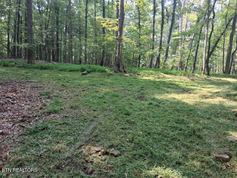 44 Acres Sheep Bluff Road Cookeville TN 38506