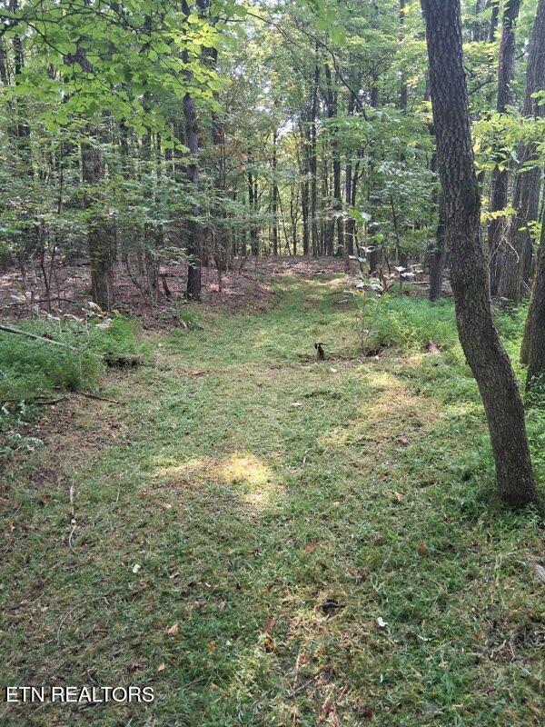 44 Acres Sheep Bluff Road Cookeville TN 38506