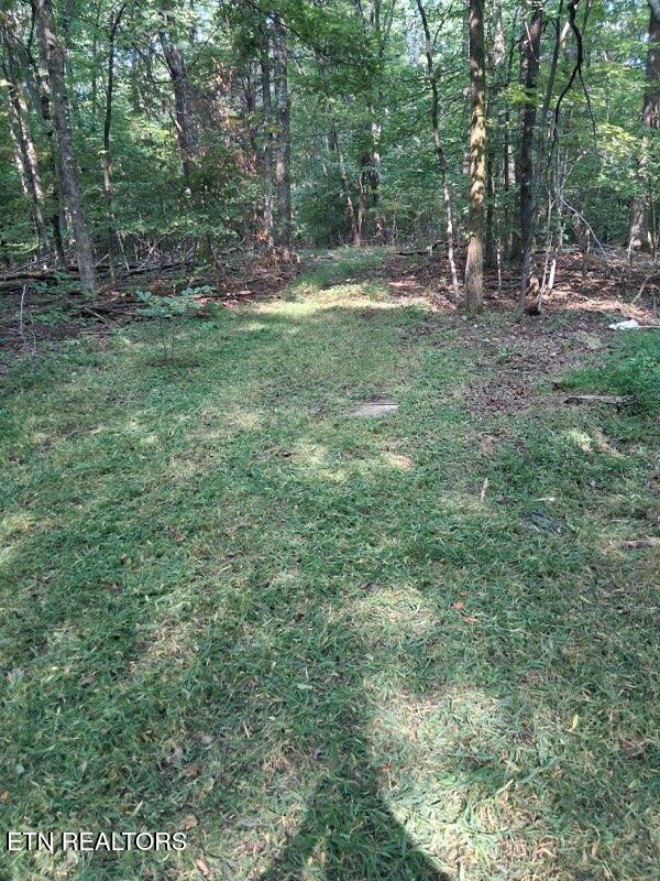 44 Acres Sheep Bluff Road Cookeville TN 38506