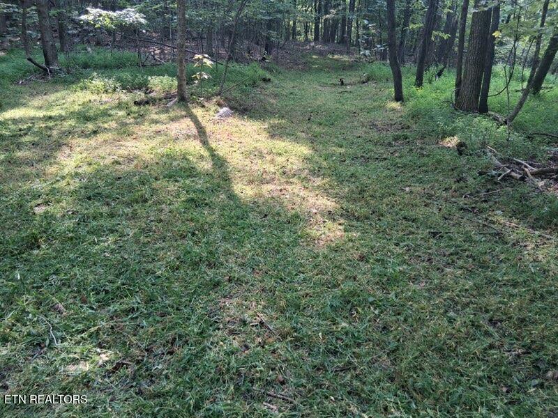 44 Acres Sheep Bluff Road Cookeville TN 38506