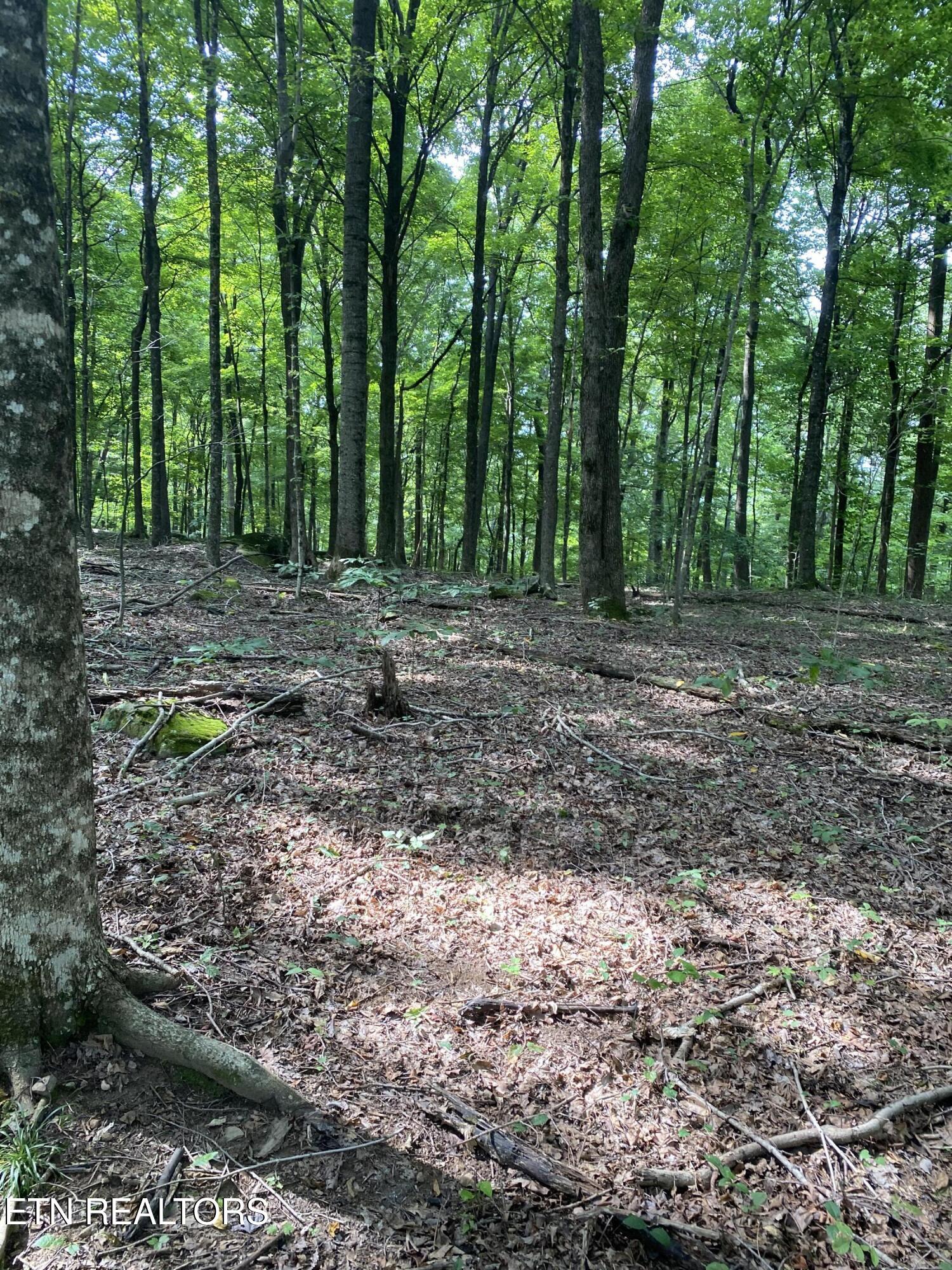 44 Acres Sheep Bluff Road Cookeville TN 38506