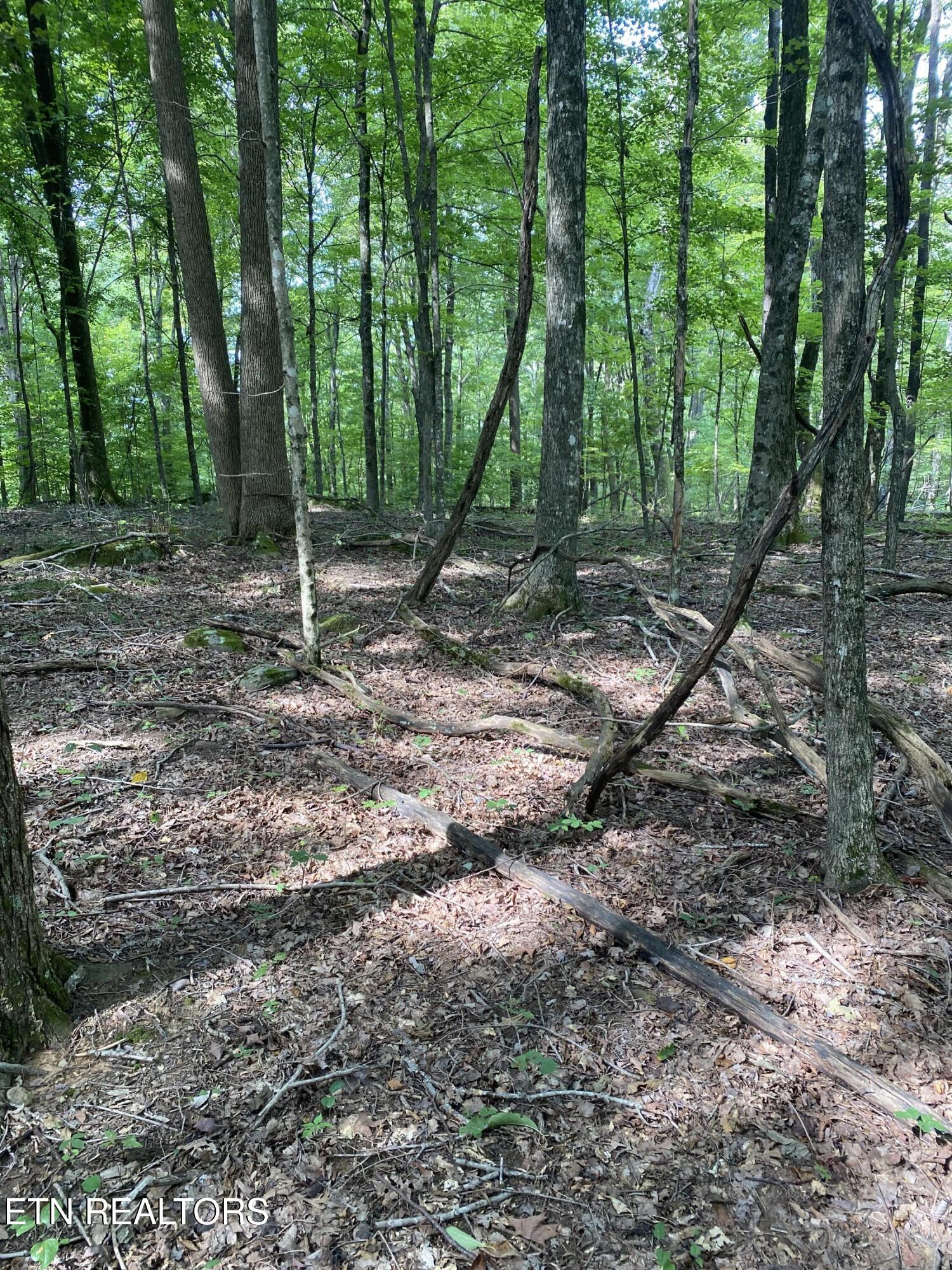 44 Acres Sheep Bluff Road Cookeville TN 38506