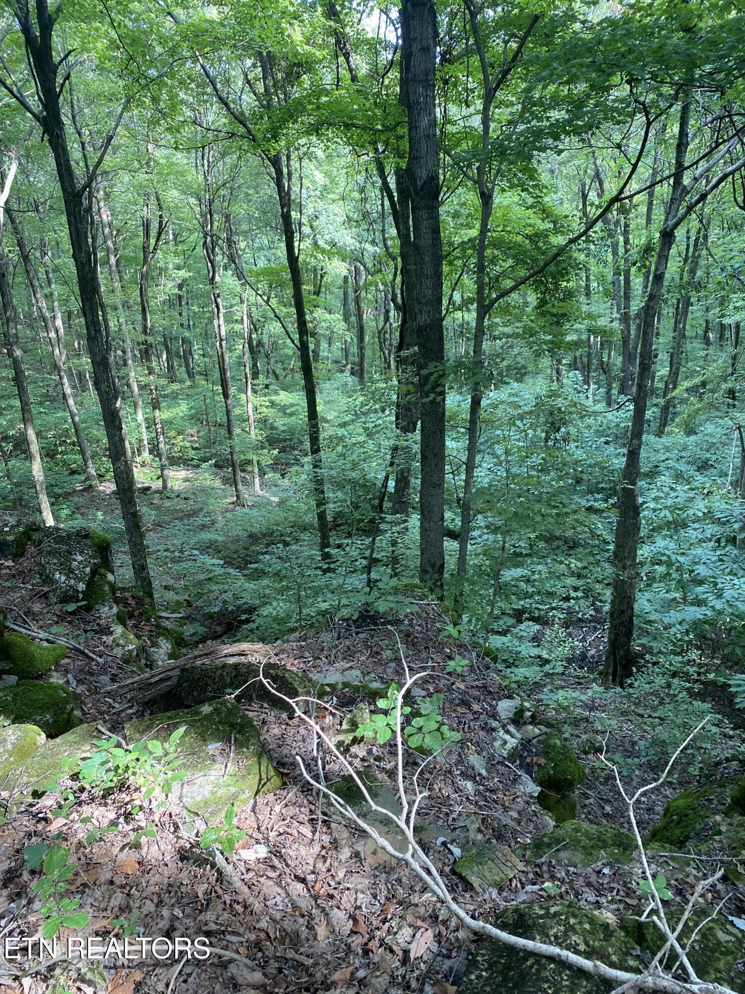 44 Acres Sheep Bluff Road Cookeville TN 38506