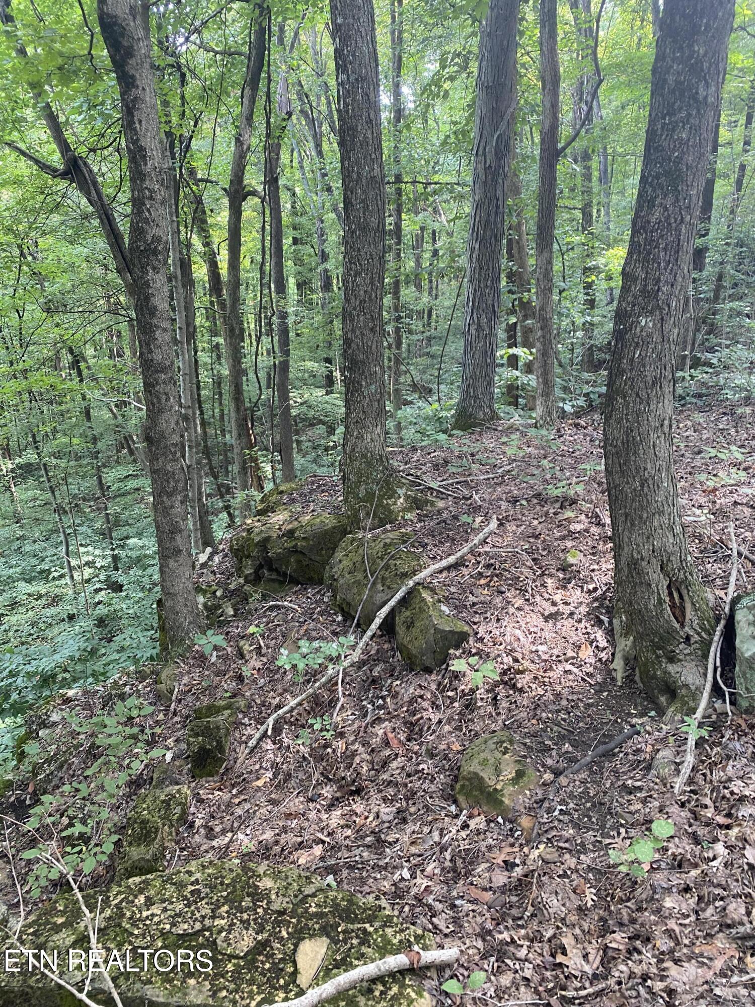 44 Acres Sheep Bluff Road Cookeville TN 38506