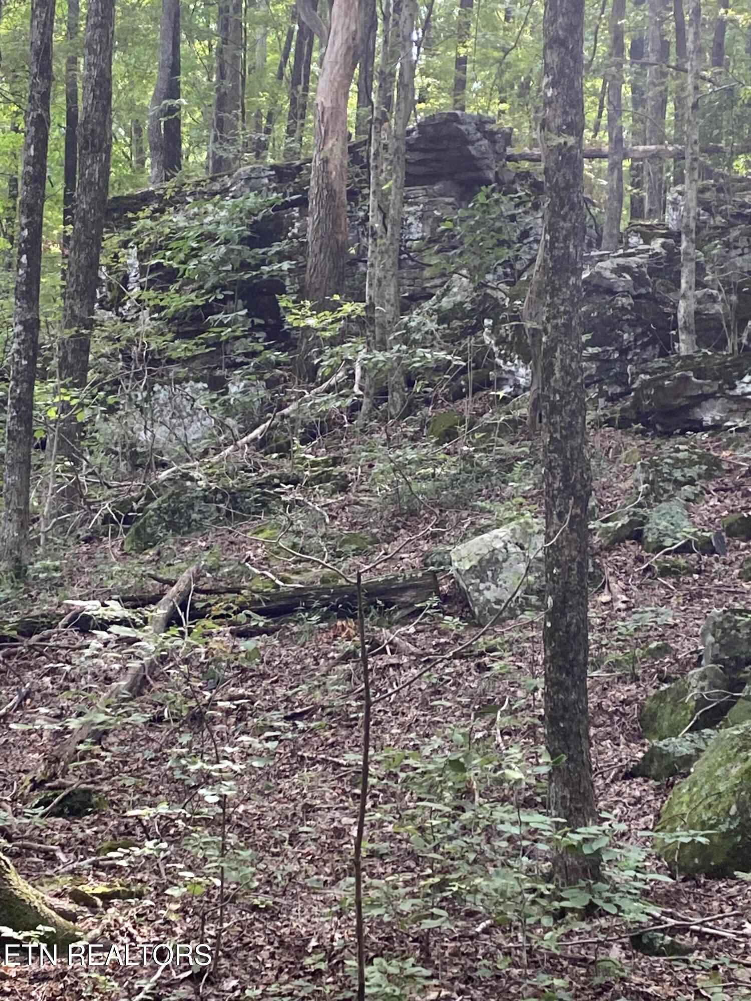44 Acres Sheep Bluff Road Cookeville TN 38506