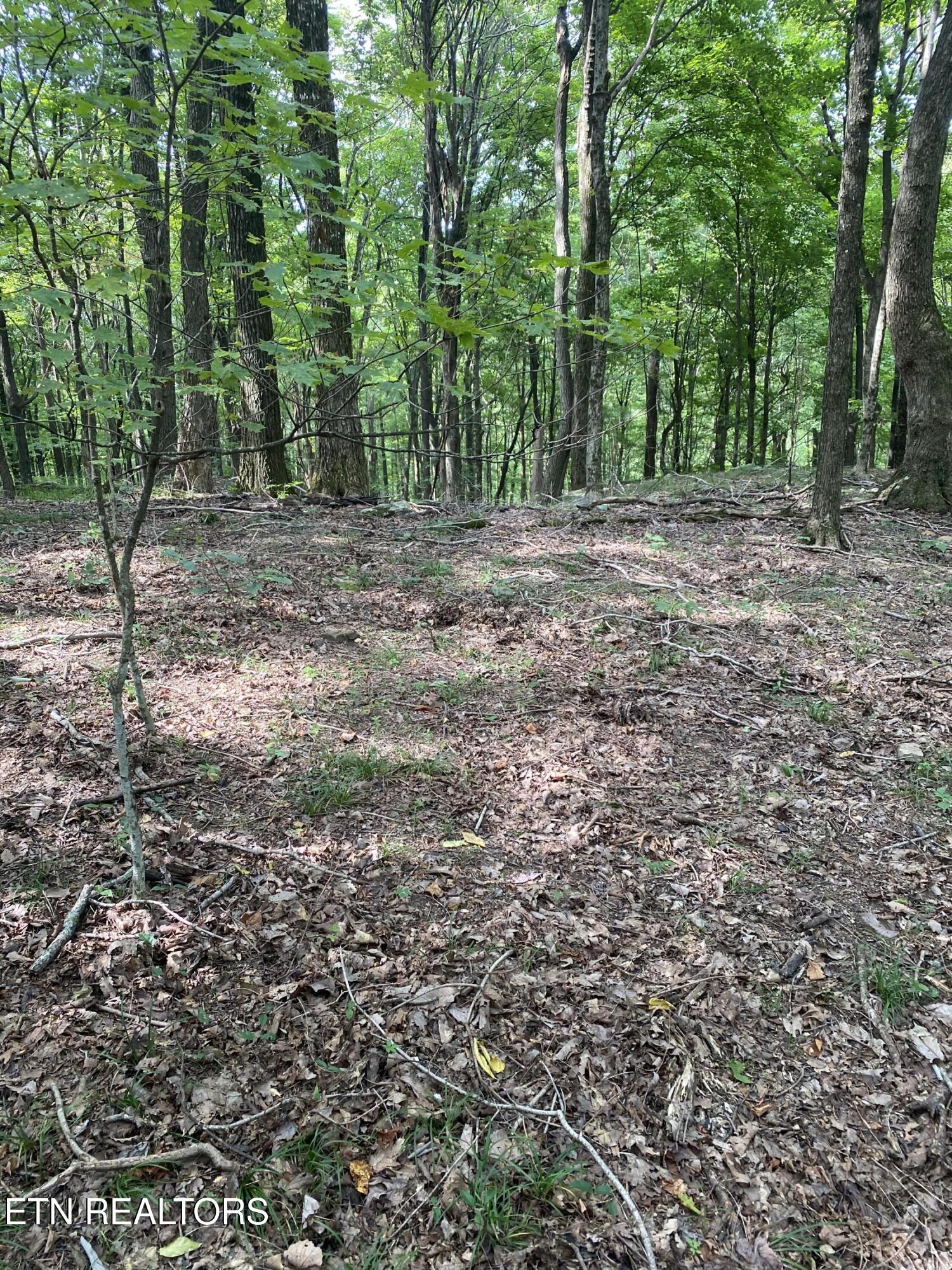 44 Acres Sheep Bluff Road Cookeville TN 38506