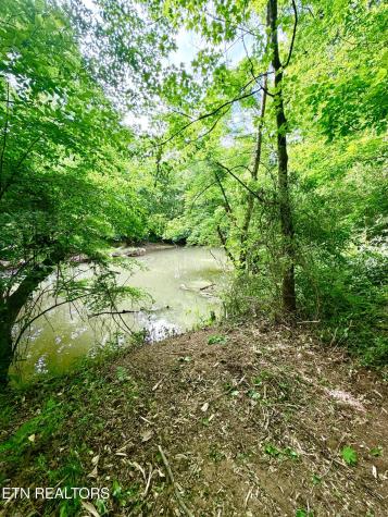 811 Trigonia Road Maryville TN 37801