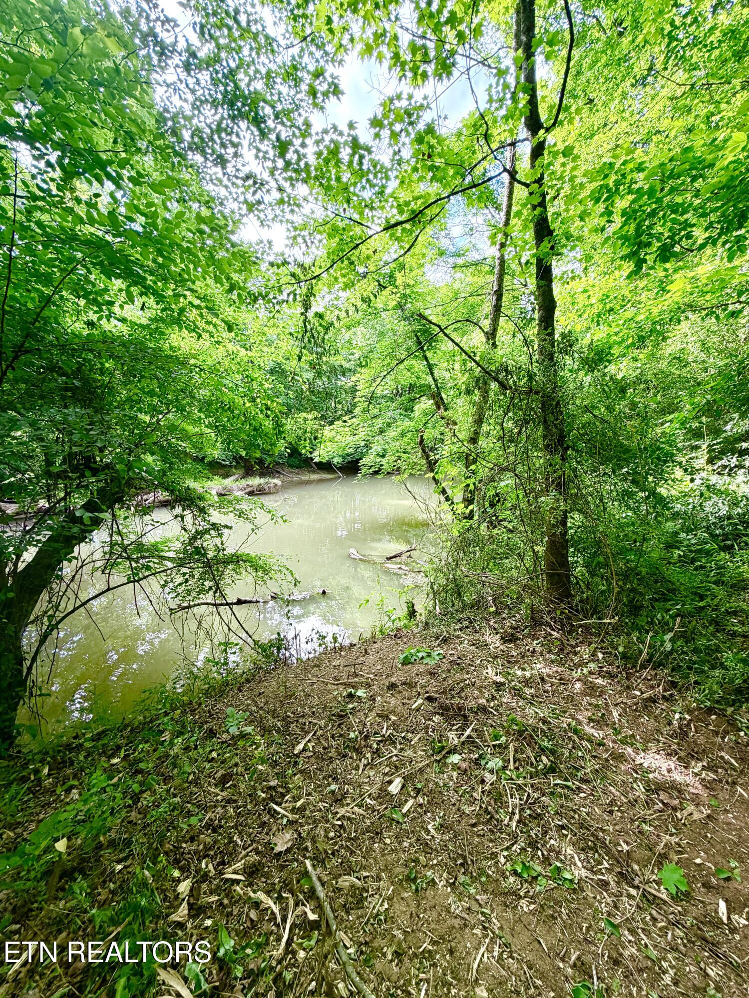 811 Trigonia Road Maryville TN 37801