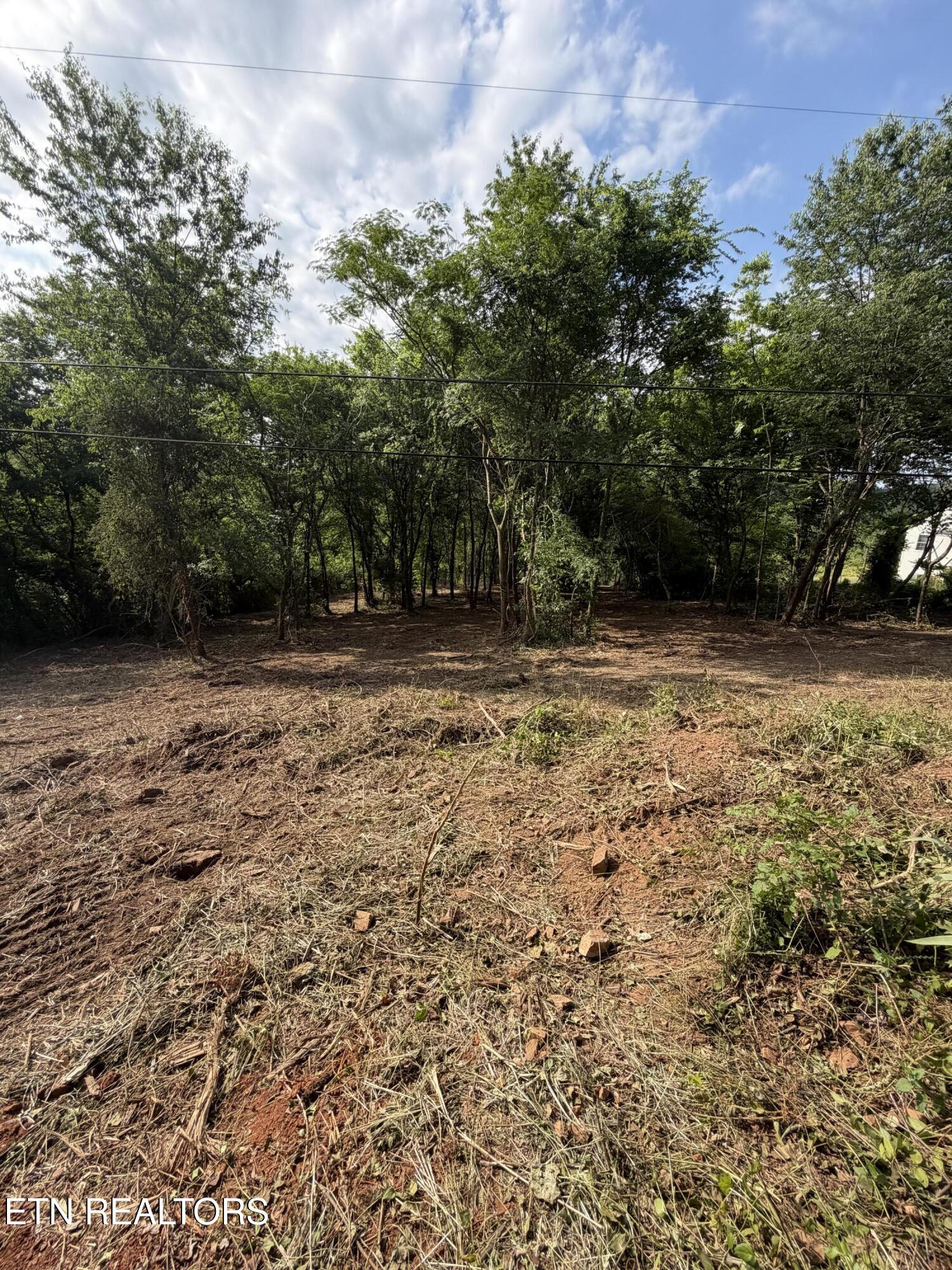 811 Trigonia Road Maryville TN 37801