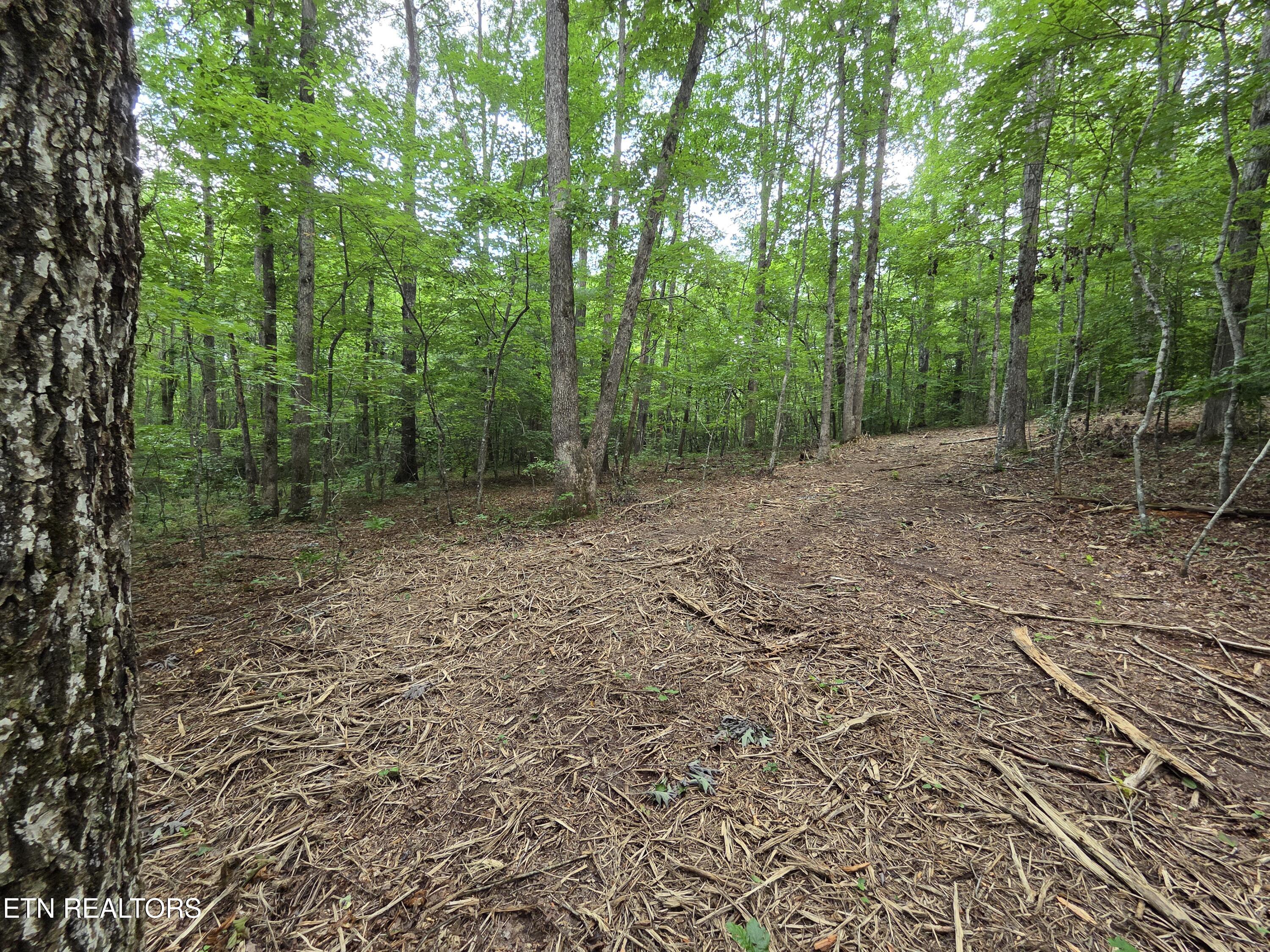 Old Huntsville-jamestown Road Robbins TN 37852