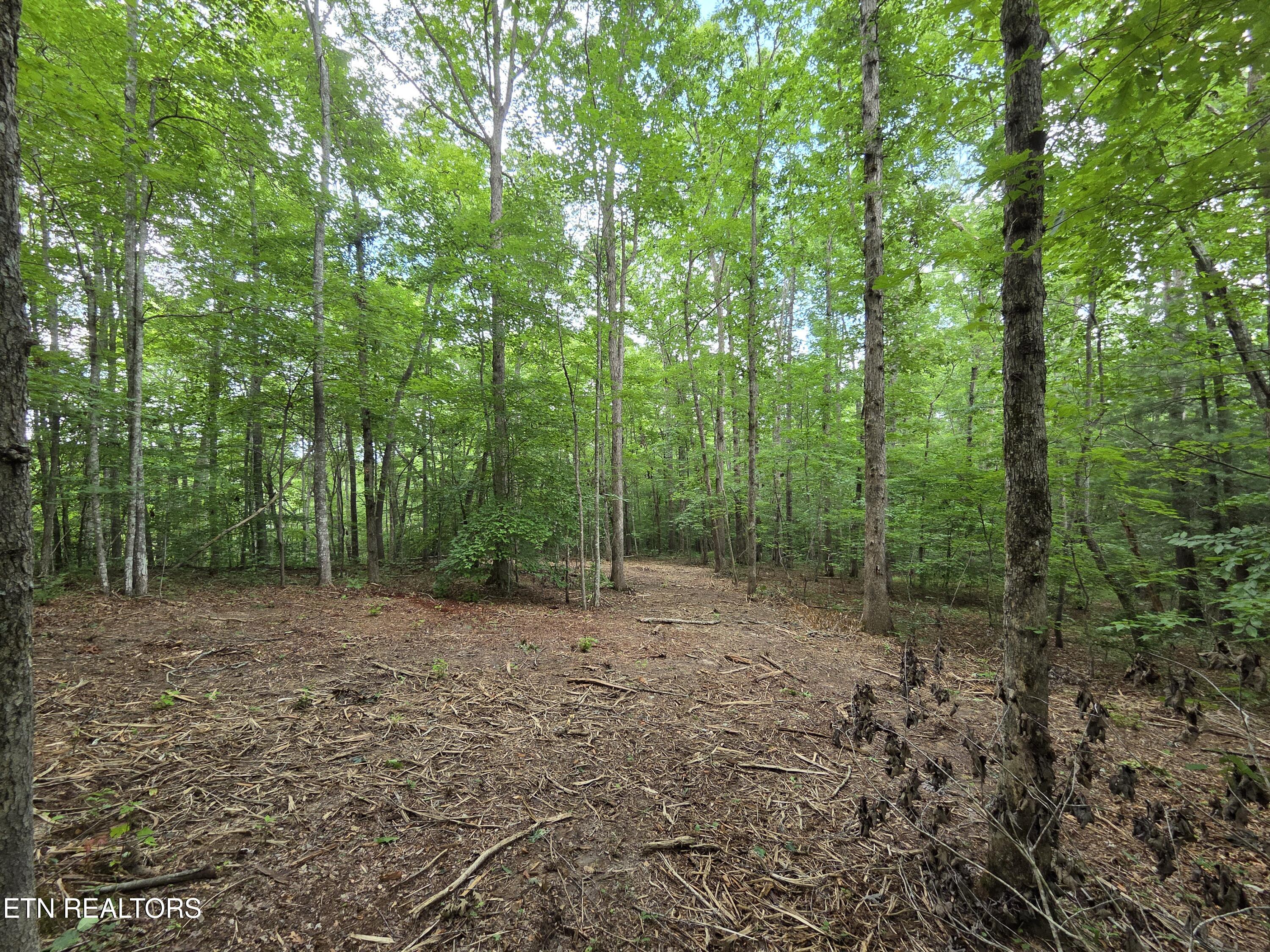 Old Huntsville-jamestown Road Robbins TN 37852
