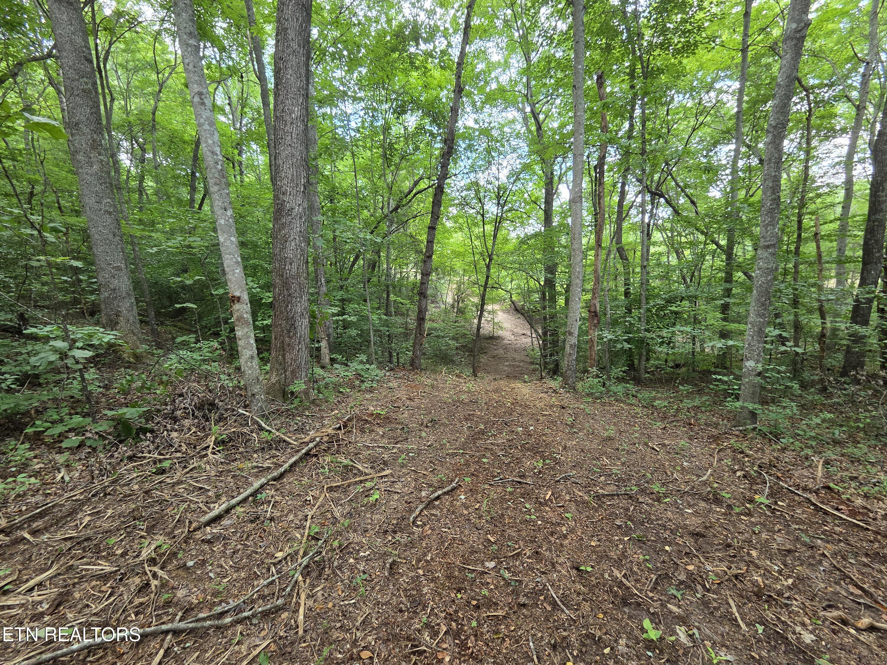 Old Huntsville-jamestown Road Robbins TN 37852