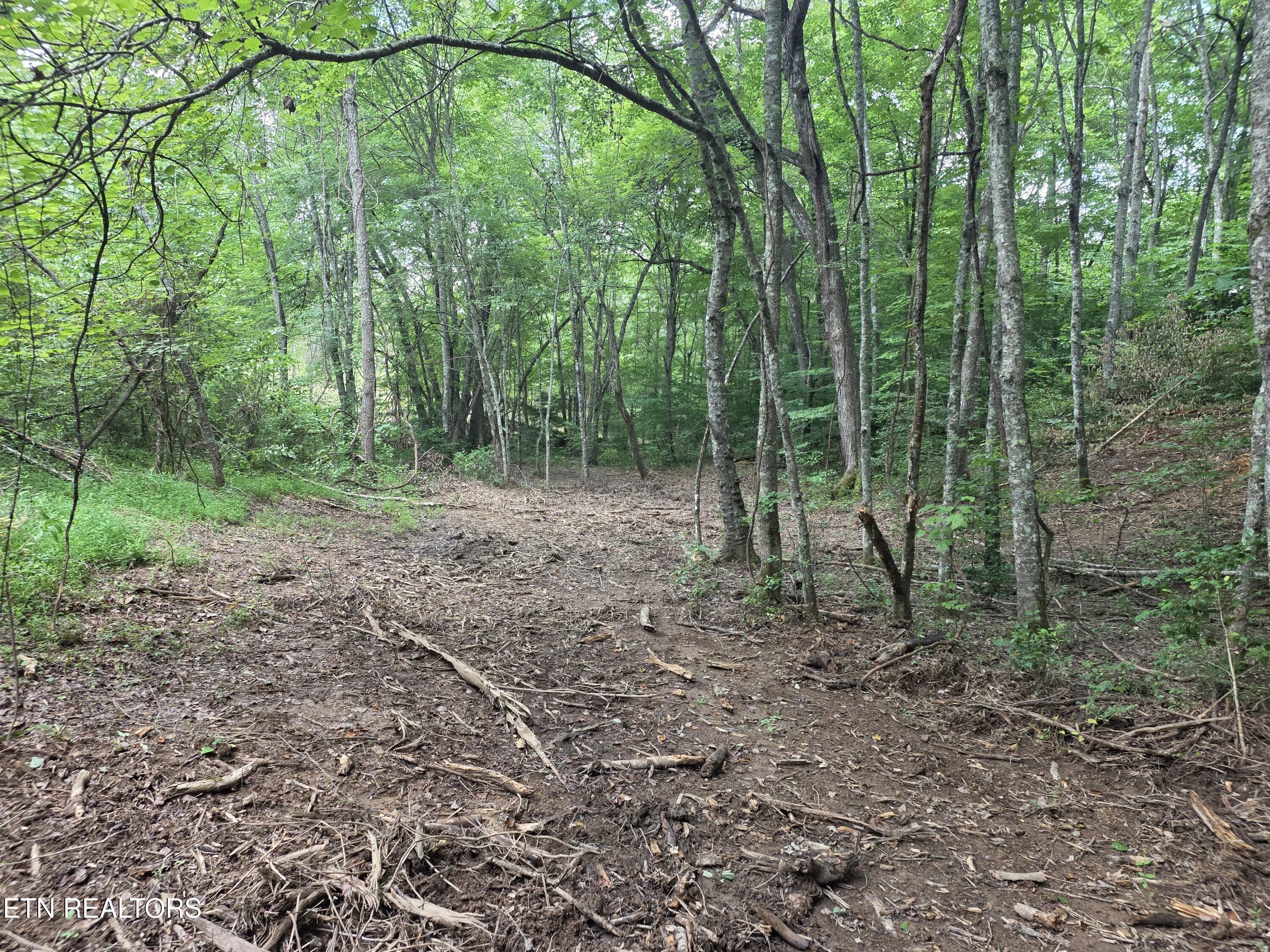 Old Huntsville-jamestown Road Robbins TN 37852