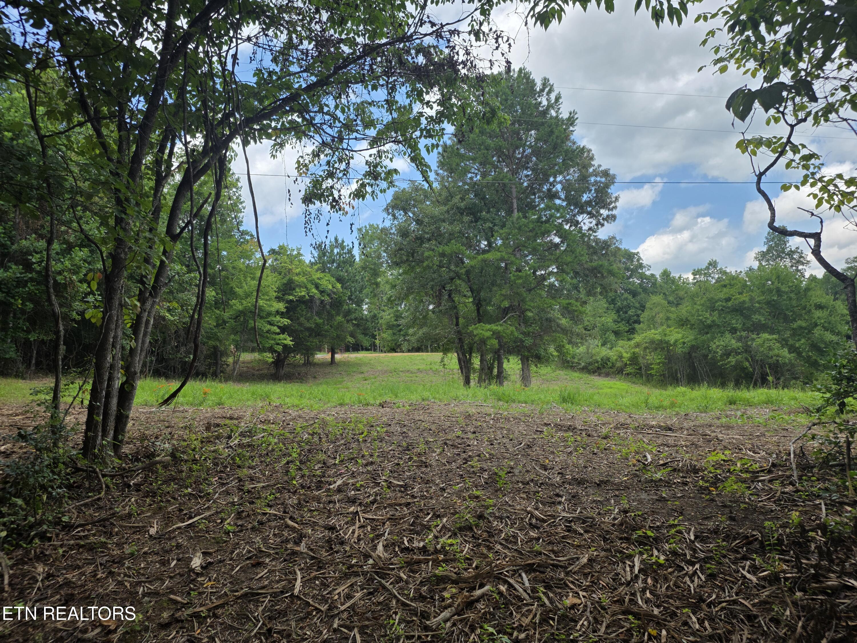 Old Huntsville-jamestown Road Robbins TN 37852